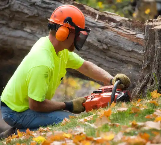 tree services Pemberville